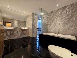 The Colonnade (D10), Condominium #476181361